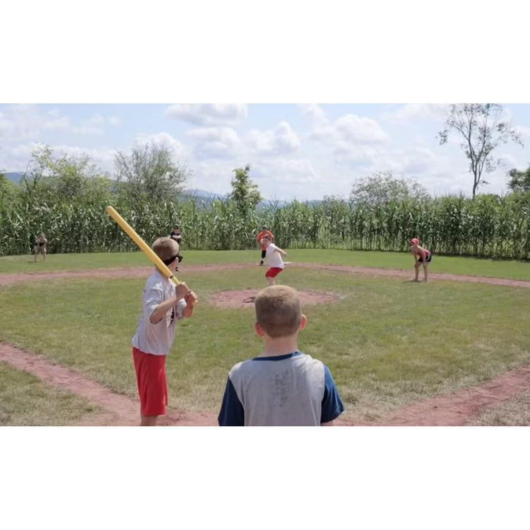 Wiffle Bat and Ball