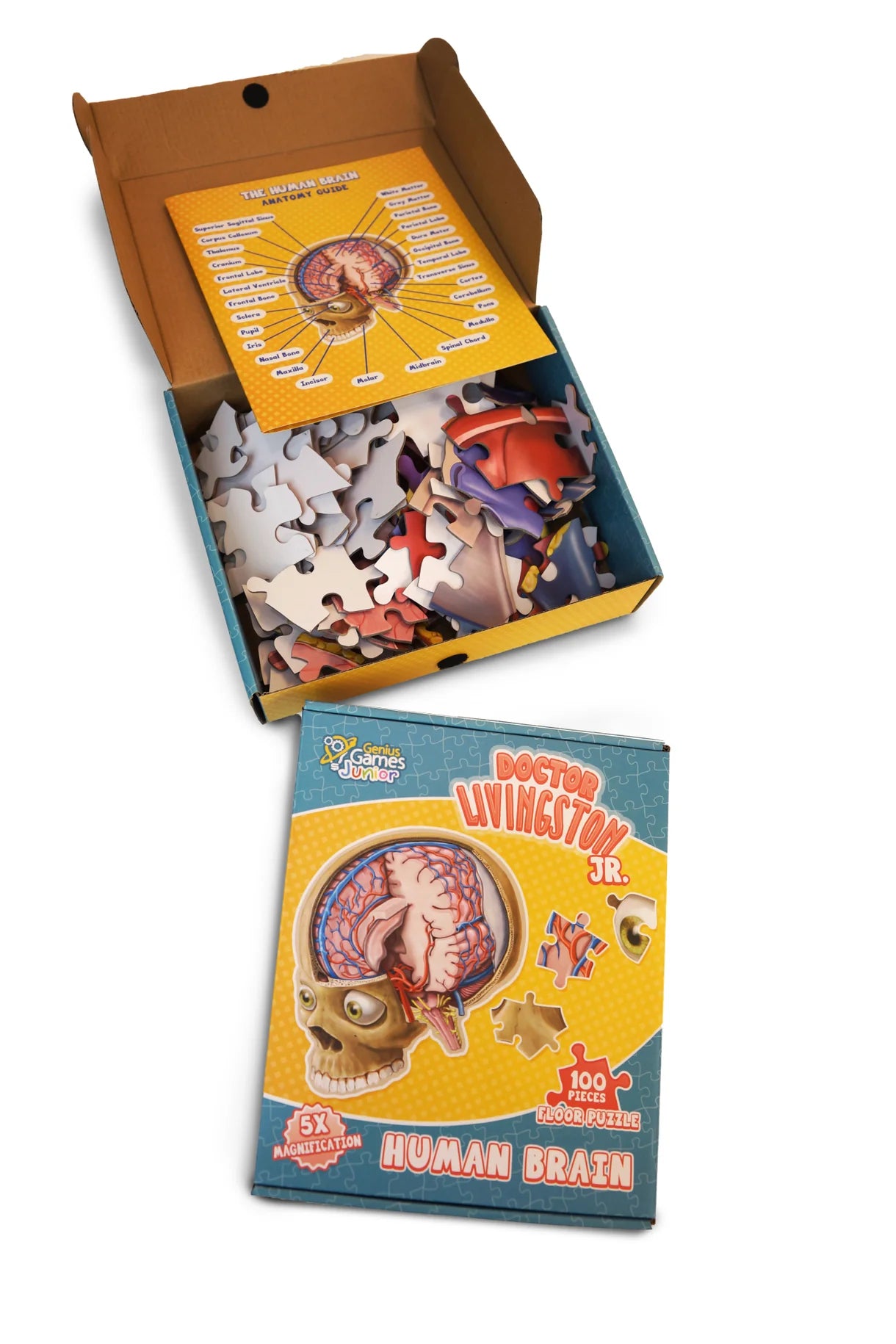 Doctor Livingston Junior Human Brain Puzzle (100 pc)
