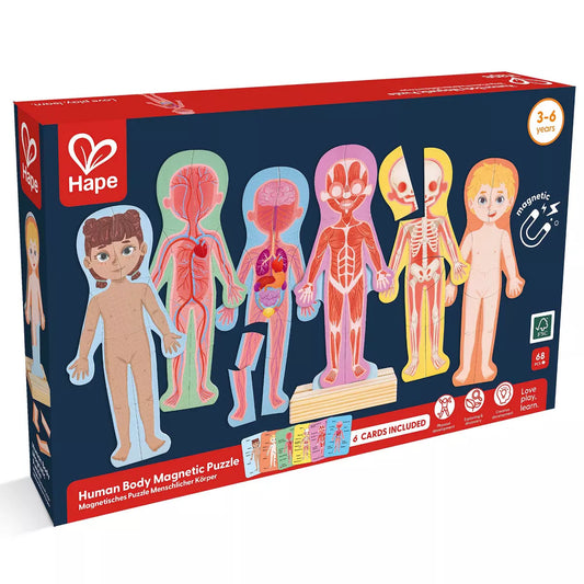 Human Body Magnetic Puzzle