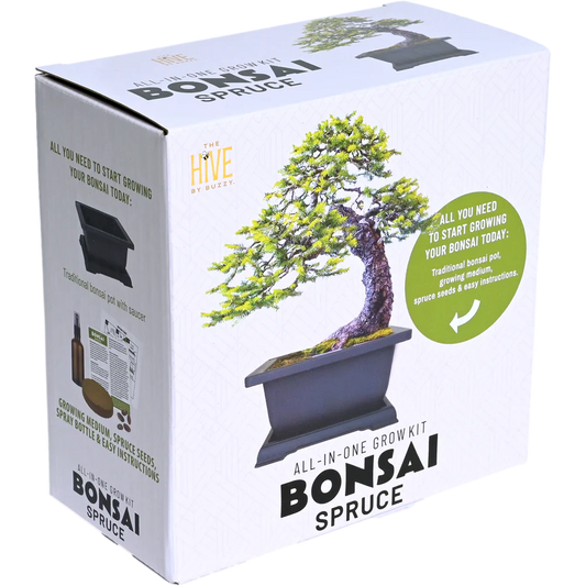 Bonsai Spruce Grow Kit