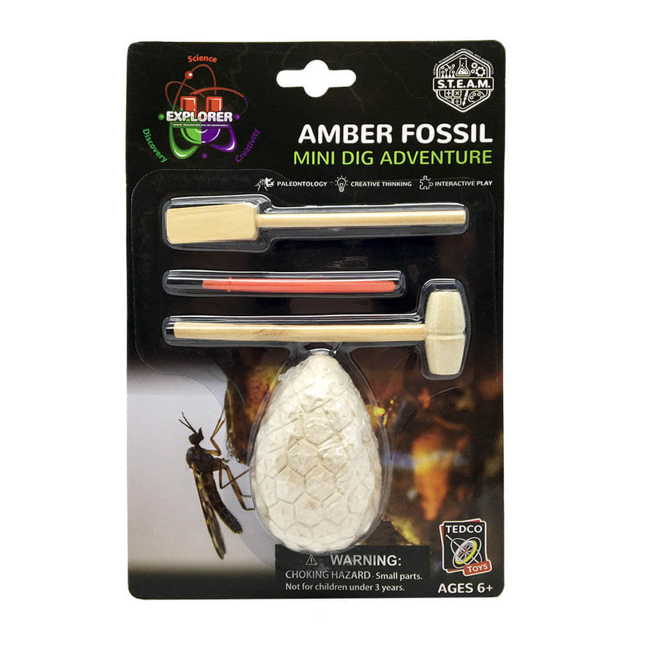 Amber Fossil Mini Dig Kit