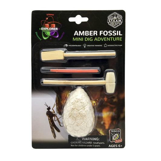 Amber Fossil Mini Dig Kit