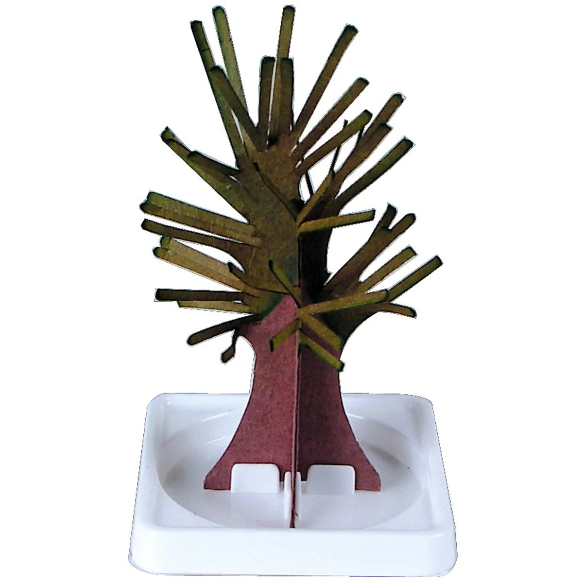 Mystical Growing Tree