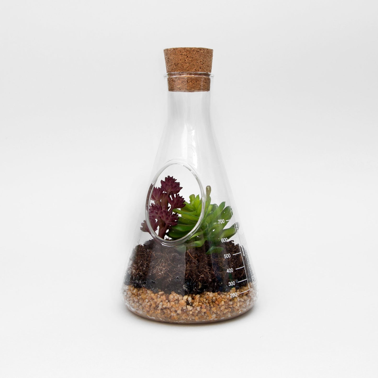 Terrarium Set
