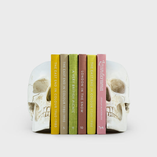 Skull Bookends
