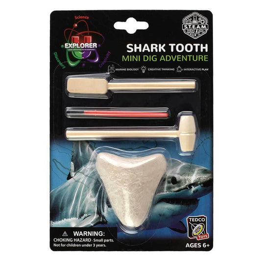 Shark Tooth Mini Dig Kit