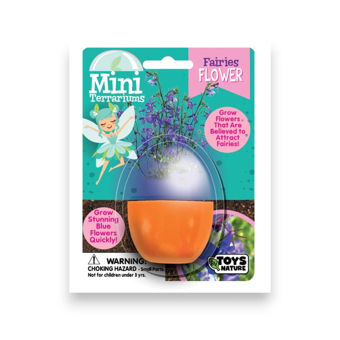 Mini Terrariums: Fairy Flower