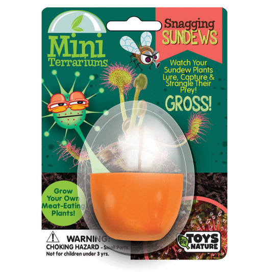 Mini Terrariums: Snagging Sundews