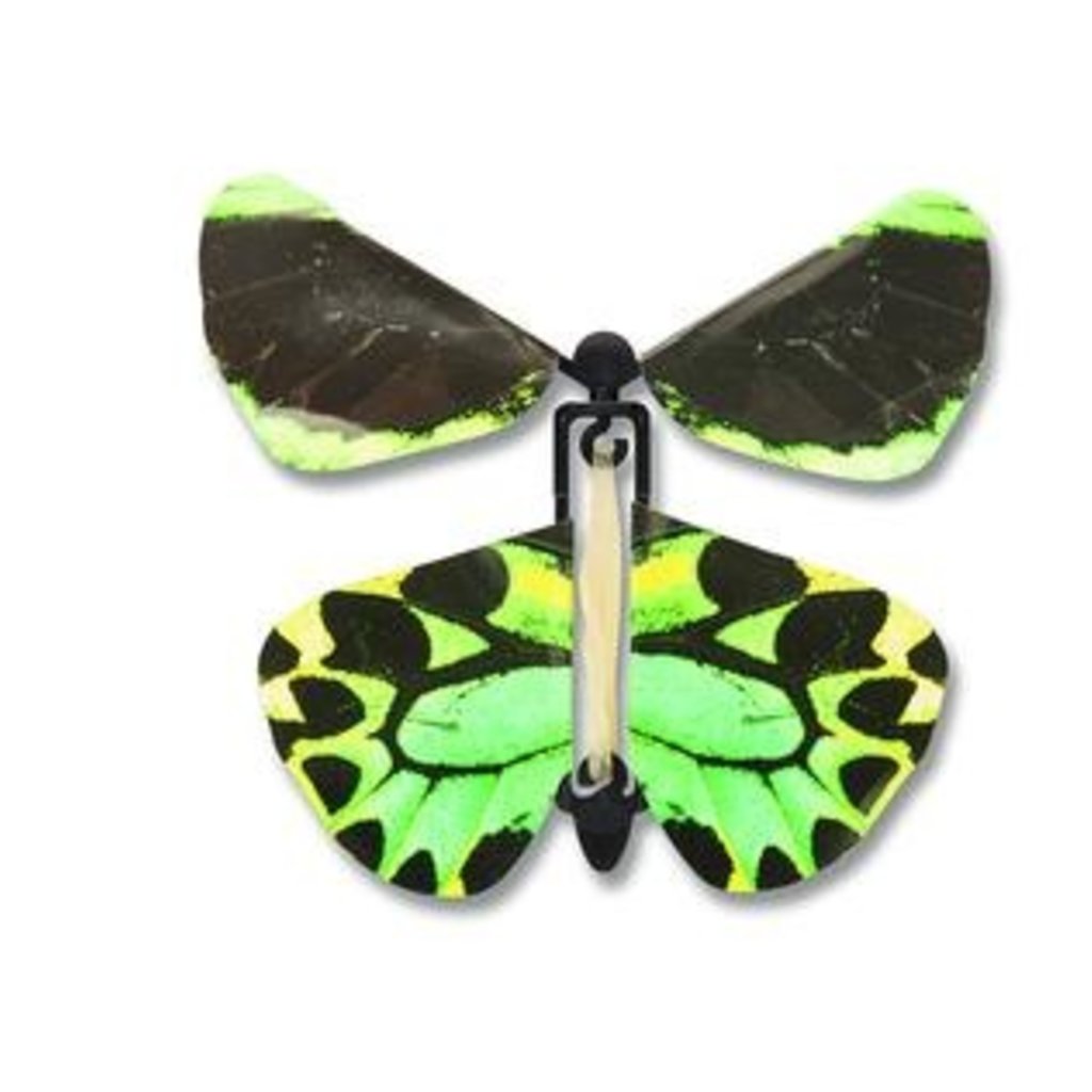 Wind Up Austrian Butterfly