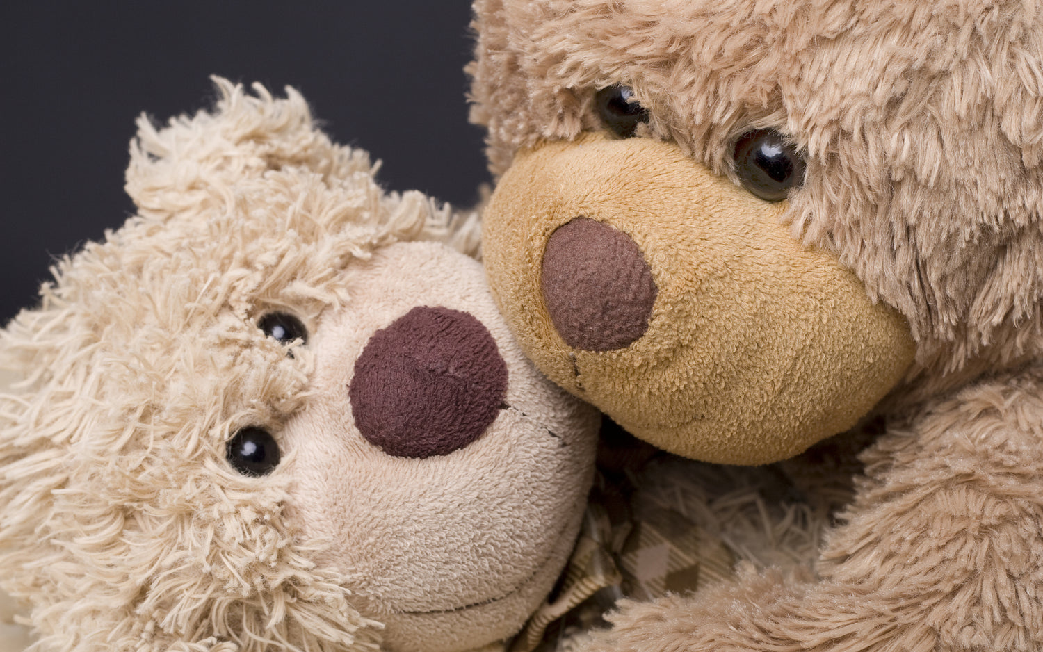 Plush & Dolls
