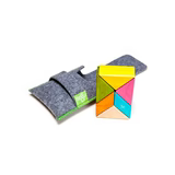 Tegu Pocket Pouch: Prism