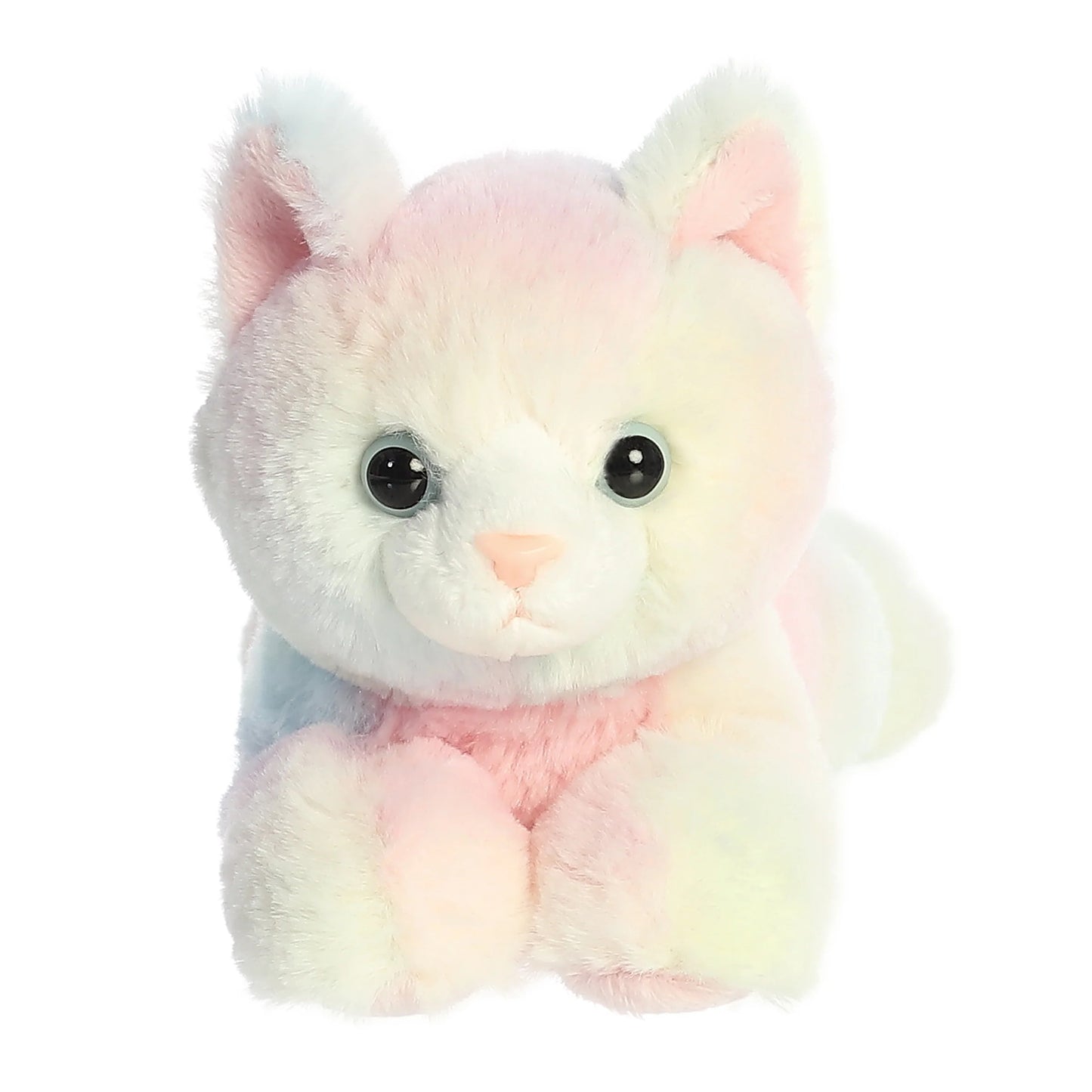 Mini Calli Kitten