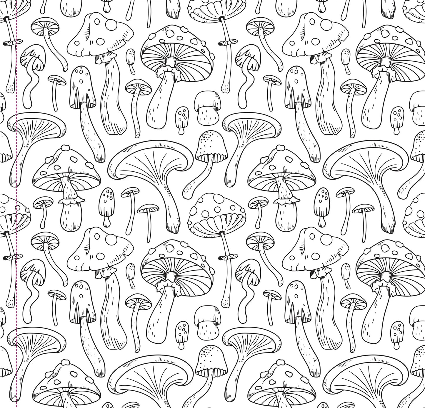 Mushrooms Coloring Book