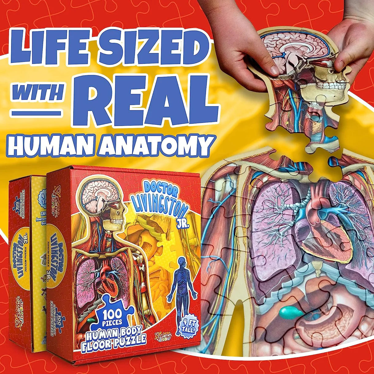 Doctor Livingston Human Body Floor Puzzle (100 pc)