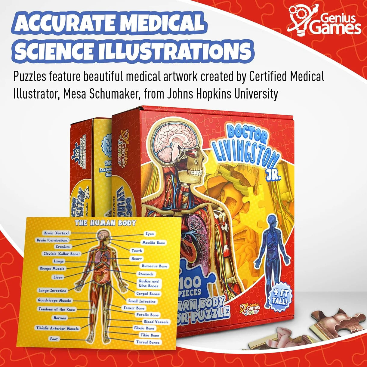 Doctor Livingston Human Body Floor Puzzle (100 pc)