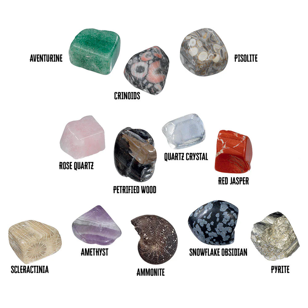 Our It Rocks I Dig It! Rocks & Fossils Dig Kit – Brookside Toy & Science