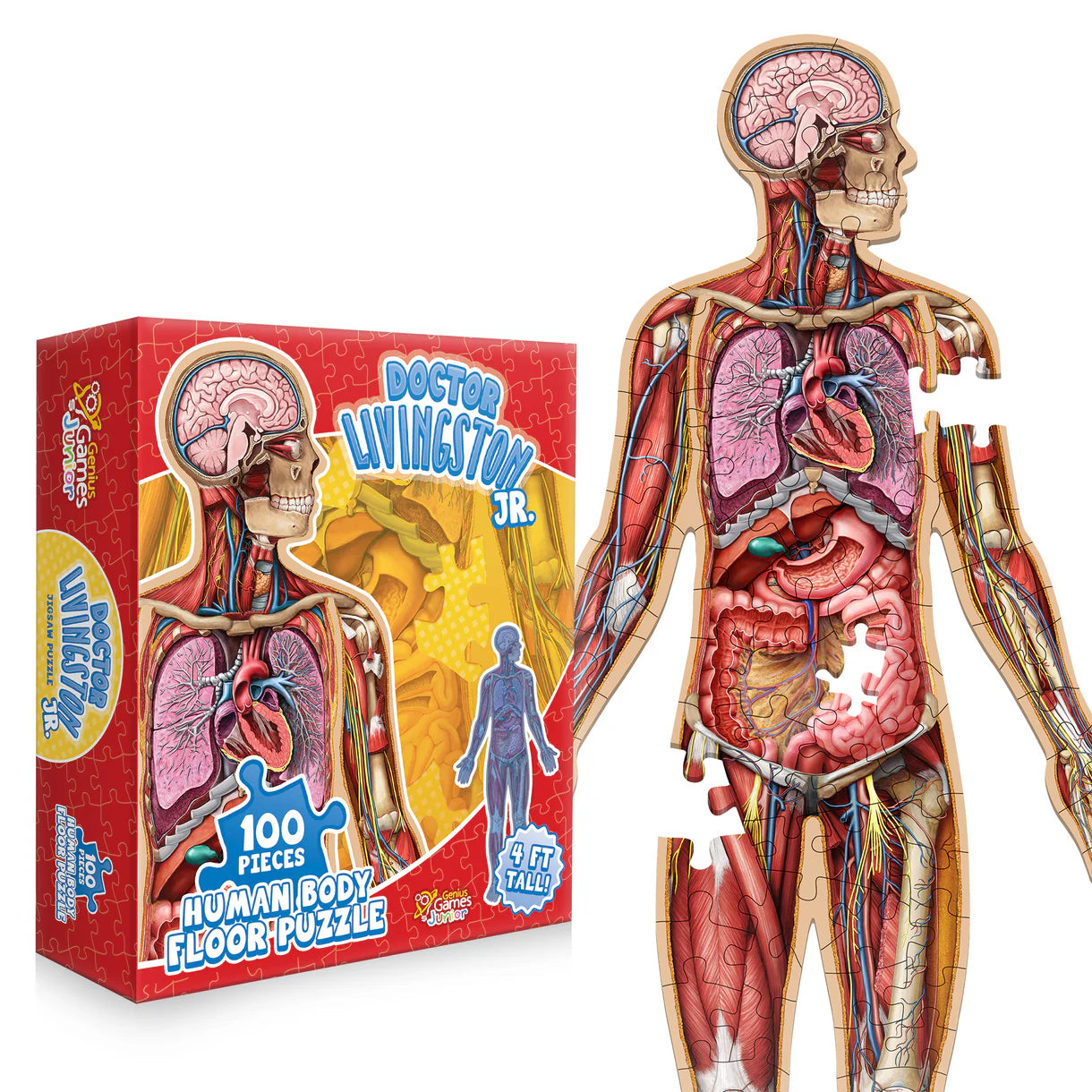 Doctor Livingston Human Body Floor Puzzle (100 pc)