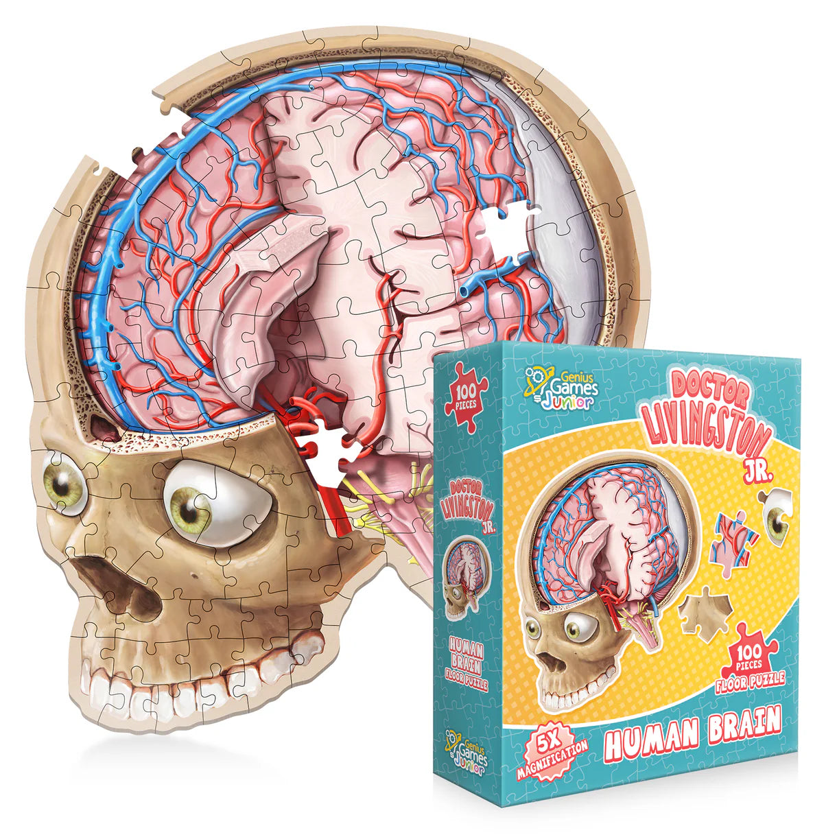 Doctor Livingston Junior Human Brain Puzzle (100 pc)