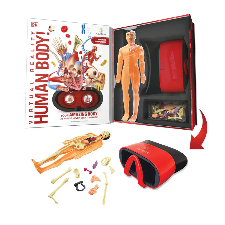 Virtual Reality Discovery Set: Human Body