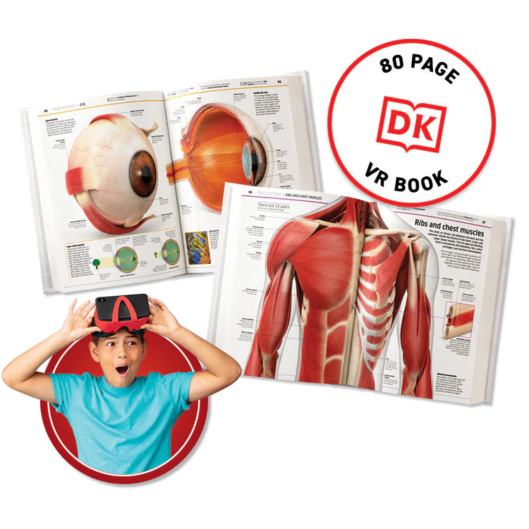 Virtual Reality Discovery Set: Human Body