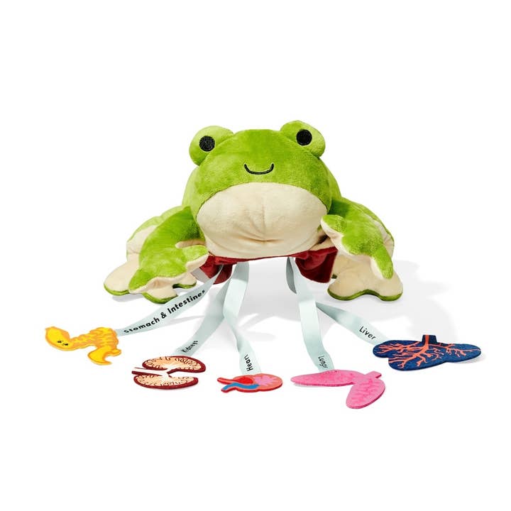 Dissecting Frog Set