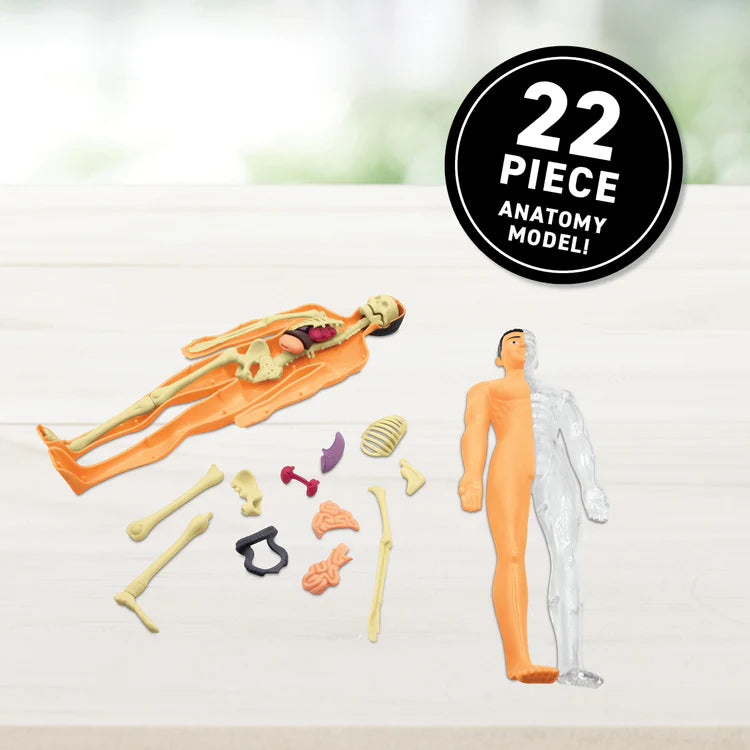 Virtual Reality Discovery Set: Human Body