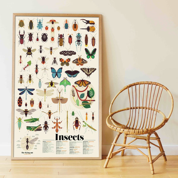Insect Sticker Poster