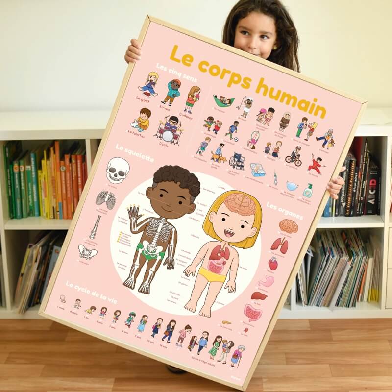 Human Body Sticker Poster