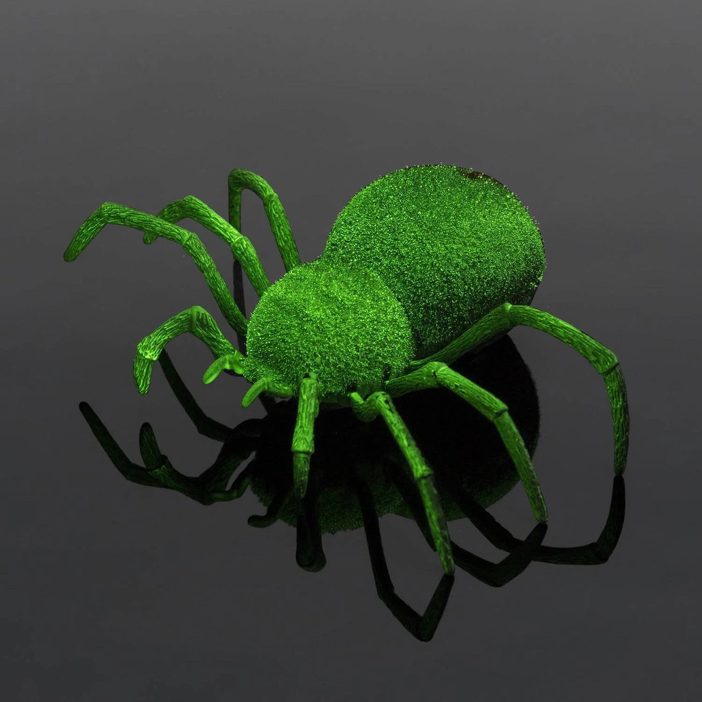 R/C Spooky Spider