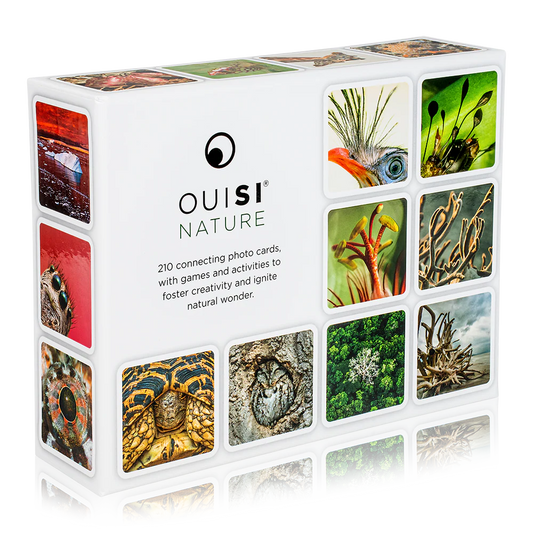 OuiSi Game: Nature