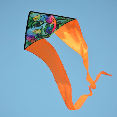 Chameleons Zippy Flo-Tail Kite