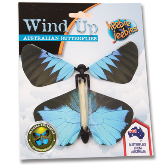 Wind Up Austrian Butterfly