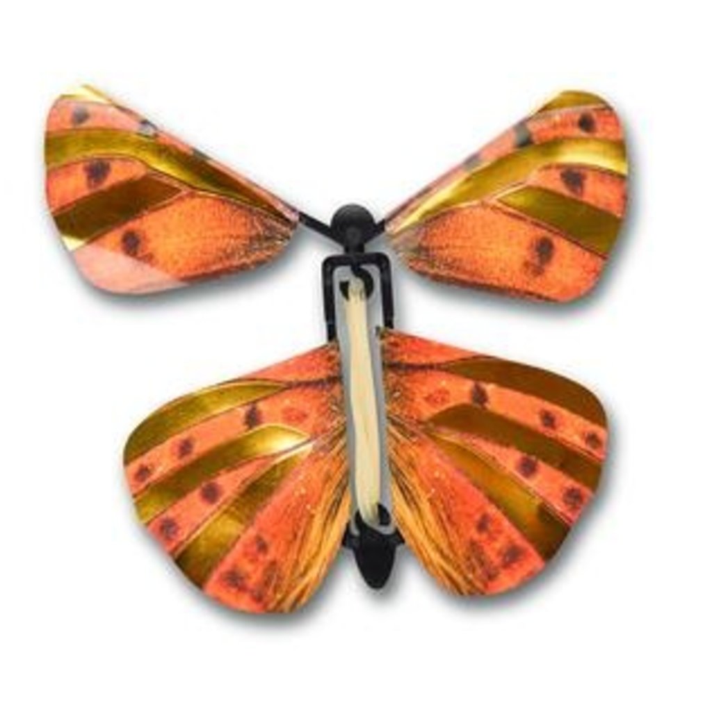 Wind Up Austrian Butterfly