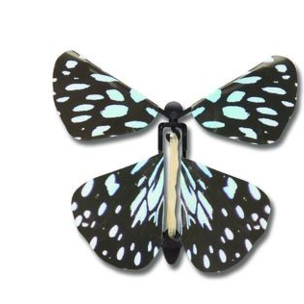 Wind Up Austrian Butterfly