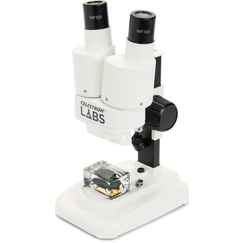 Beginner Stereo Microscope