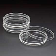 Sleeve of 20 plastic 100x15mm Petri Dishes