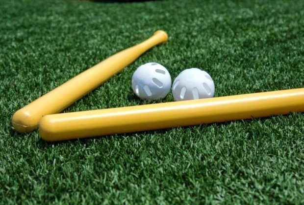 Wiffle Bat and Ball