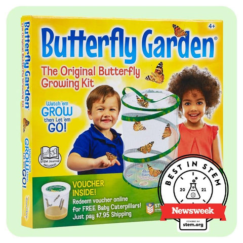 Butterfly Garden