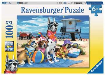 100 pc No Dogs at the Beach