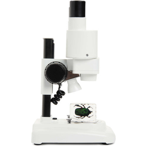 Beginner Stereo Microscope